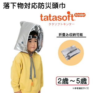 yhЂzCG[tatasoftkinder ^^\tgL_[ΉhГ2΂5ΑΏۗcphЂ یpi یX