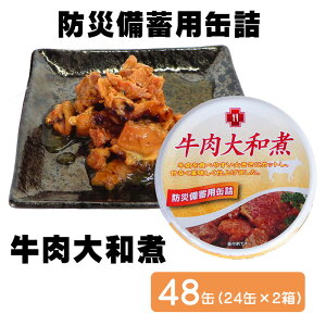 yTYza48ʁi24×2jhД~pʋl H