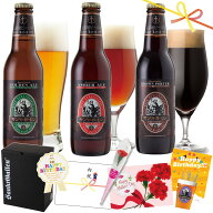 金賞 地ビール 詰め合わせギフト 3種 クラフトビール 飲み比べセット ギフト【本州送料無料 あす楽】神奈…