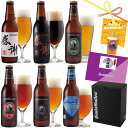 クラフトビール 飲み比べセット 感謝ビール 6種 ギフト 地ビール 詰め合わせ【本州送料無料】誕生日プレゼント、お歳…