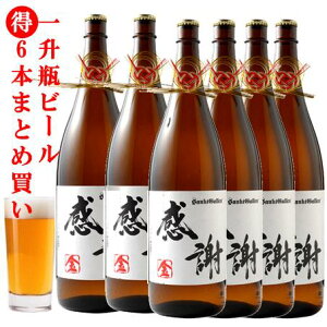  ꏡrr[6{܂Ƃߔ t Mtgy{B yz Ntgr[ nr[ Mtg YN VN ꁃΕEjEoYj 