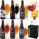 クラフトビール 飲み比べセット 感謝ビール 6種 ギフト 地ビール 詰め合わせ【本州送料無料】誕生日プレゼント バレンタインギフト 出産内祝い 結婚内祝い お礼 お祝い のし名入｜サンクトガーレン IPA 黒ビール 神奈川 ご当地ビール エールビール お返し 酒 おしゃれ