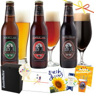 金賞 地ビール 詰め合わせギフト 3種 クラフトビール 飲み比べセット ギフト【本州送料無料 あす楽】神奈…