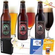 金賞 地ビール 詰め合わせ 3種 クラフトビール 飲み比べセット ギフト【クラフトビールの神が手掛ける】…