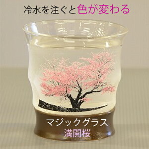 bNOX@Mtg@y⊴bNOXiJjzLcā@gā@Mtg@Ē@W[X@Mtg@蕨@v[g@Rbv