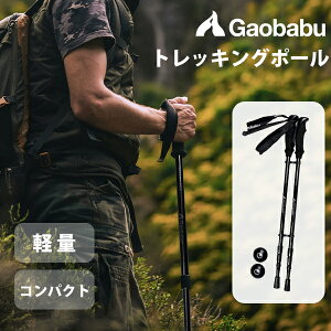 KIou Gaobabu yʃJ[{gbLO|[2{Zbg [ܕt 2{Zbg A`VbN oR  gbLO XebL EH[LO Ro oRpi XgbN oRp  o