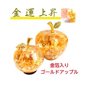 ̃S ь Abv Apple S[h u  J^i OXIuWF S[fAbv K^Abv ^ K^ ь K ^㏸ MtgZbg v[g Mtg a