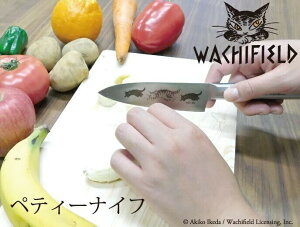 L̃_ yeBiCtiƂєL_jiCt nako L _  xx_ _ XeX LG _V[Y ̓ zj Mtg oYj wj a 