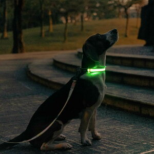 DOGNESS hbOlX LED UCNu[ S EM LED Dog Collar ybgpi ybg փCg U S h hoΉ yʃobN擾ς