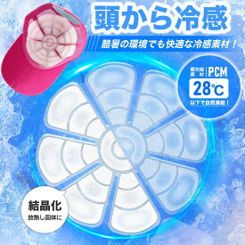 【在庫あり】頭ひんやりクール PCM ヘッドクール 28 ヘッドパッド 子供 大人 キッズ ネッククーラー 帽子 保冷剤 頭 冷却 熱中症対策 暑さ対策 接触冷感 プレゼント 頭皮 ひんやり 帽子用冷却シート