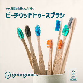 ビーチウッドトゥースブラシ georganics（ジオーガニクス）イギリス製 歯ブラシ