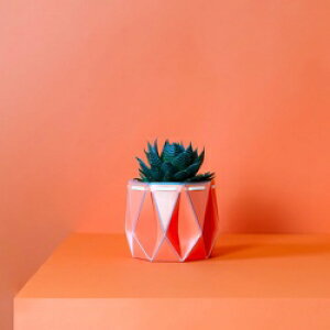 POTRi|b^[j |b^[|bg 11cm