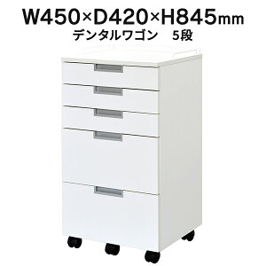 ��� �@�N���j�b�N ���ȁ@���� �f���^�����S�� 5�i �z���C�g RFCA-DT5WH �c�[�����S�� �f�@ �L���X�^�[���S���y���Ə��l���͂� ���菤�i�z