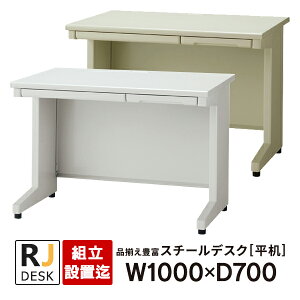 �y�g���E�ݒu���z ���� RJ�f�X�NII �v���X W1000×D700 �z���C�g���G���O���[ RJ-107H WH LGY ������ ���{��