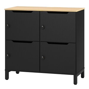 [\[hV[Y] p[\ibJ[ 22i 4lp _C W1000xD500xH1000mm zCg/I[N/ubN RFPL-22-D ؐbJ[ K̓ItBX [NXy[XyƏl͂ 菤i