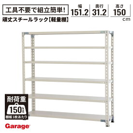 頑丈スチールラック 6段 幅151.2cm 奥行31.2cm 高さ150cm(棚板耐荷重150kg 物品棚 スチール棚 収納棚 オープンラック 軽量ラック 軽量棚 棚 倉庫 頑丈 インダストリアル 業務用 店舗什器 シンプル 日本製 PLUS プラス)