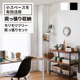★【19日20時〜P最大20倍！】DRAW A LINE モリモリツリー 突っ張り セット (ドローアライン 平安伸銅 つっぱり 収納 用品 整理 おしゃれ収納 見せる収納 片付け リビング 棒 棚 ラック つっぱり棒 おしゃれ かっこいい インテリア 店舗 ショールーム 白 黒)