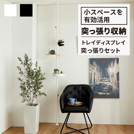 ★【マラソンP最大20倍！】トレイでディスプレイを楽しむ 突っ張りセット ( ドローアライン 平安伸銅 DRAW A LINE つっぱり 用品 デザイン 収納 整理 おしゃれ収納 見せる収納 片付け リビング 棒 棚 ラック つっぱり棒 おしゃれ かっこいい インテリア )