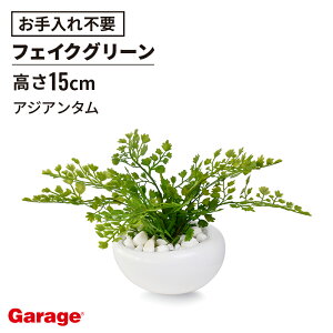 y12/1聟SiőP10{zAWA^itFCNO[ rO  GgX ItBXO[ i` 蕨 Mtg v[g JX oXj zj JƏj O