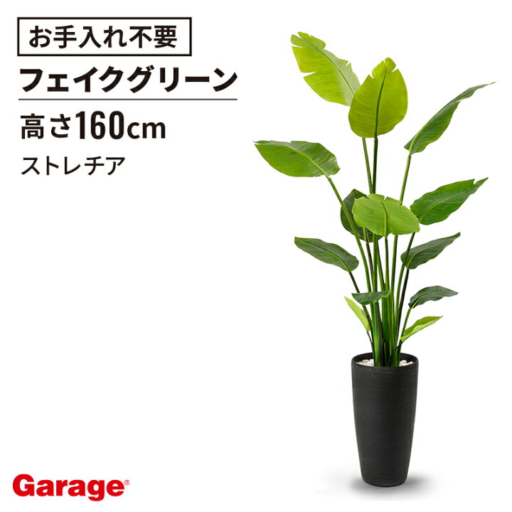 楽天市場】ストレチア 高さ160cm（フェイクグリーン 観葉植物 