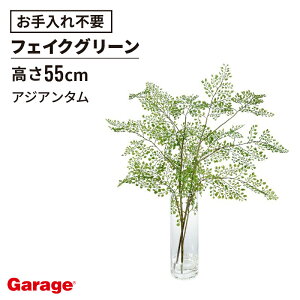 AWA^EH[^[ H25itFCNO[ rO  GgX ItBXO[ i` 蕨 Mtg v[g JX oX zj ړ] J   Ce