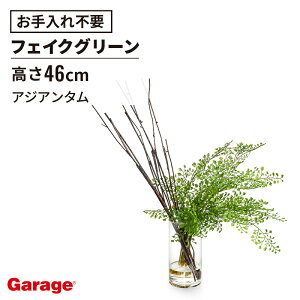 AWA^EH[^[ H15itFCNO[ rO  GgX ItBXO[ i` 蕨 Mtg v[g JX oX zj   CeA ϗt