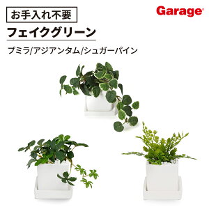 tFCNO[ Mt~jO[3_ZbgiϗtA ItBXO[ j rO  GgX JXj JƏj Vzj zj j CeA Mtg 