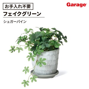 VK[oC nsv^[ ~j tFCNO[iϗtA  A tFCN lHϗtA CeAO[ ~jTCY u^ O[ A  CeA 