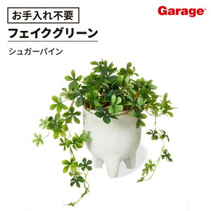 y15-16聟P5{zVK[oC nsv^[ rt ~j tFCNO[i~jTCY ϗtA A tFCN CeAO[ ItBXO[ O[ lHϗtA 