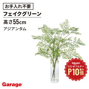 y12/1聟SiőP10{zAWA^EH[^[ H25itFCNO[ rO  GgX ItBXO[ i` 蕨 Mtg v[g JX oX zj ړ] 