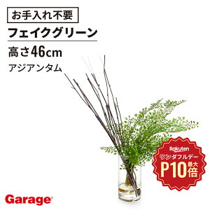 y12/1聟SiőP10{zAWA^EH[^[ H15itFCNO[ rO  GgX ItBXO[ i` 蕨 Mtg v[g JX oX zj 