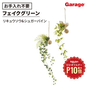 y11/1聟SiőP10{znMOO[ L^Cv LE\E VK[oC 2ZbgitFCNO[ ϗtA  Ǌ| nMO CeA G  Mtg 