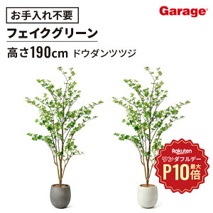 y12/1聟SiőP10{ztFCNO[ hE_ccW@GbO|bgi190cm tFCNO[ ϗtA ItBXO[ j rO  GgX JXj JƏj