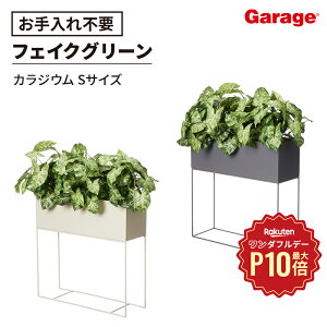 y11/1聟SiőP10{zp[e[VO[ JWE STCY(tFCNO[ ϗtA ItBX Ko X^hO[ Ԏd؂ 60cm  v^[ p[e[V 