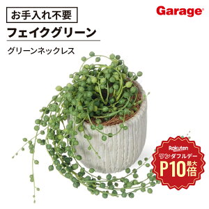 y11/1聟SiőP10{ztFCNO[ ~j O[lbNX IxX|bg SiϗtA ~jTCY A  CeAO[ O[ tFCN lHϗtA A 