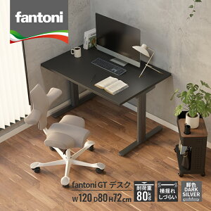 fantoni GT �f�X�N ��120cm ���s80cm�i�C�^���A�� �p�\�R���f�X�N �� pc�f�X�N �I�t�B�X�f�X�N ���[�N�f�X�N ���փf�X�N �Q�[�~���O�f�X�N ���� �I�t�B�X ��� ������� �ؖ� ��� �h��Ȃ� �t�@��