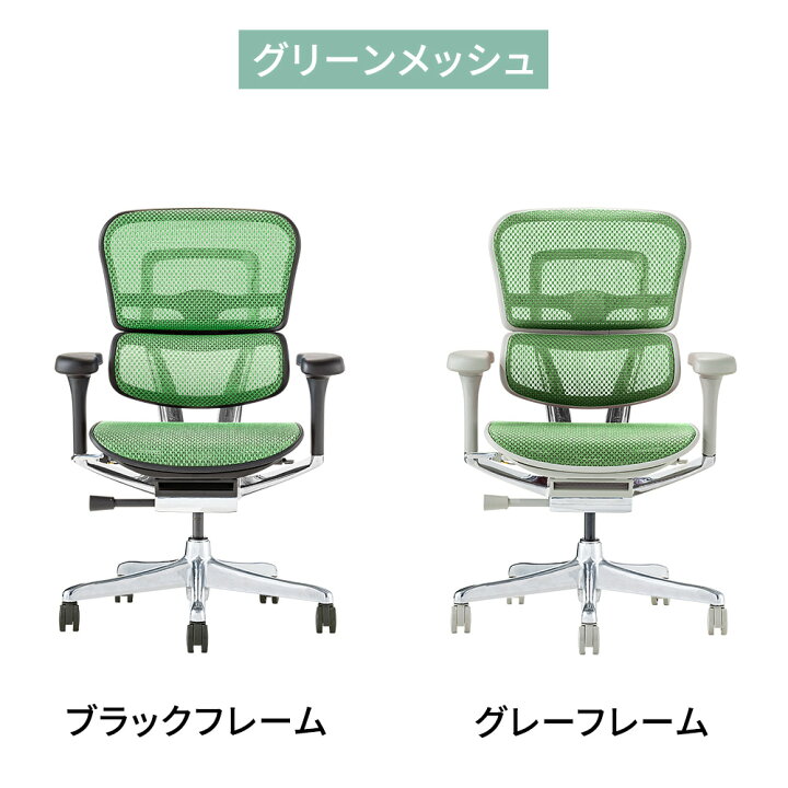 楽天市場】Ergohuman エルゴヒューマン pro2 ロータイプ（完成品 