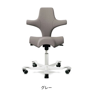 HAG CAPISCO カピスコ クロス張り チェア(正規輸入品 デスクチェア 北欧 ノルウェー 人間工学 腰痛 オフィスチェア デスクワーク 姿勢 pcチェア 高級 椅子 ワークチェア 個性派 おしゃれ 書斎 い