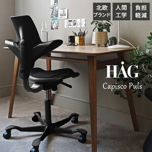 y10/1聟SiőP10{zHAG JsXRpX CAPISCO PULS fXN`FAik lԍHw  KAi ItBX`FA pc`FA LX^[t [N`FA e[N ֎q p p\R