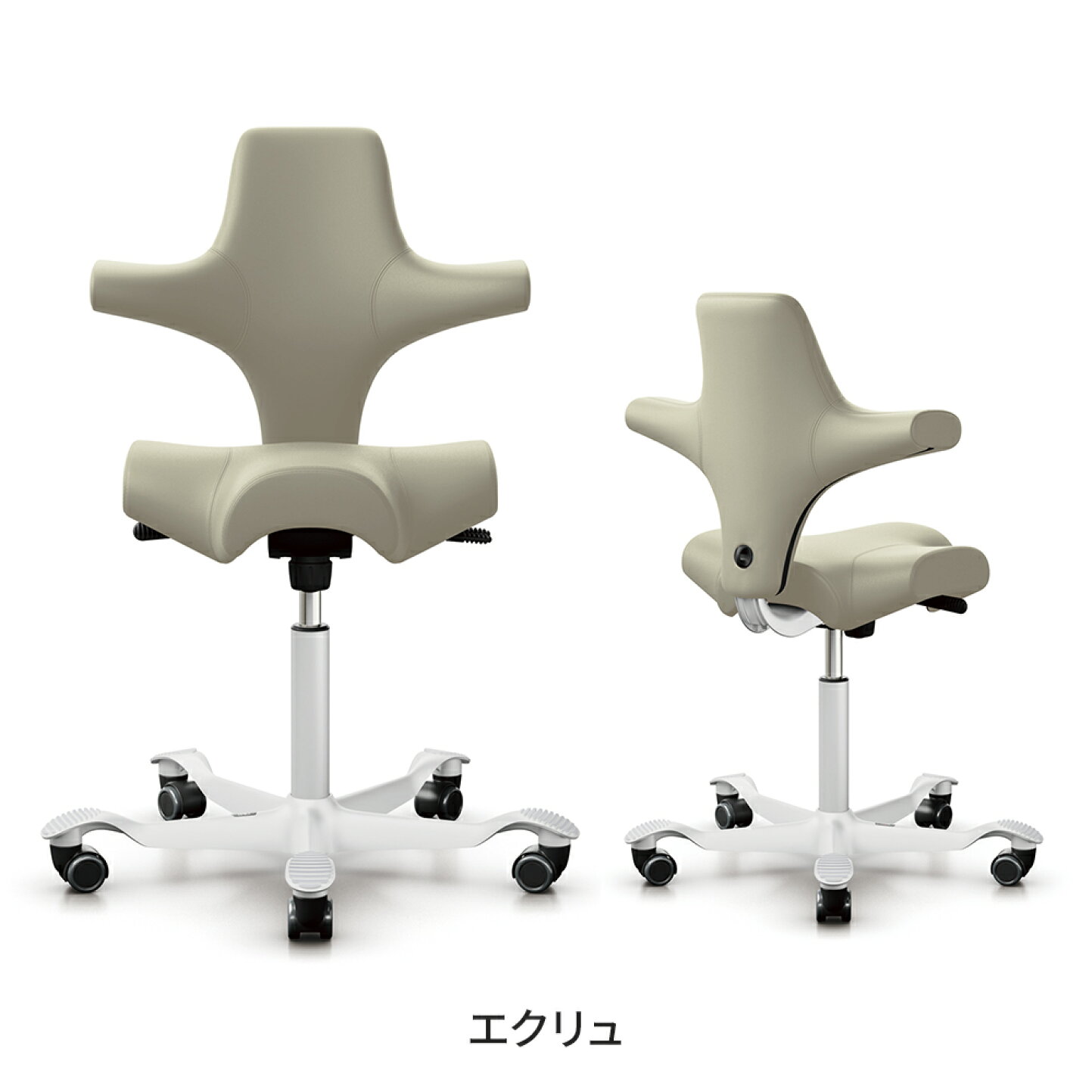 楽天市場 | ガラージ楽天市場店 - 人気のカピスコチェアに新色登場！