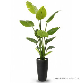 ストレチア 高さ160cm （フェイクグリーン 観葉植物 インテリアグリーン オフィスグリーン 玄関 エントランス 贈り物 ギフト プレゼント 開店祝い 出店祝い 引っ越し祝い 開業祝い 木 人工植物 木 おしゃれ リアル リーフ 小物 納涼 )