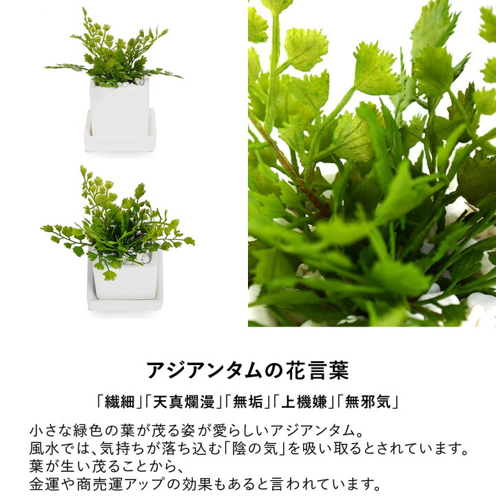 楽天市場 P5 1 9 00 16 9 59 フェイクグリーン 皿付きミニグリーン３点セット 観葉植物 オフィスグリーン お祝い リビング 玄関 エントランス 開店祝い 開業祝い 新築祝い 引っ越し祝い 結婚祝い インテリア ギフト ワンポイント New Prgr ガラージ楽天市場店