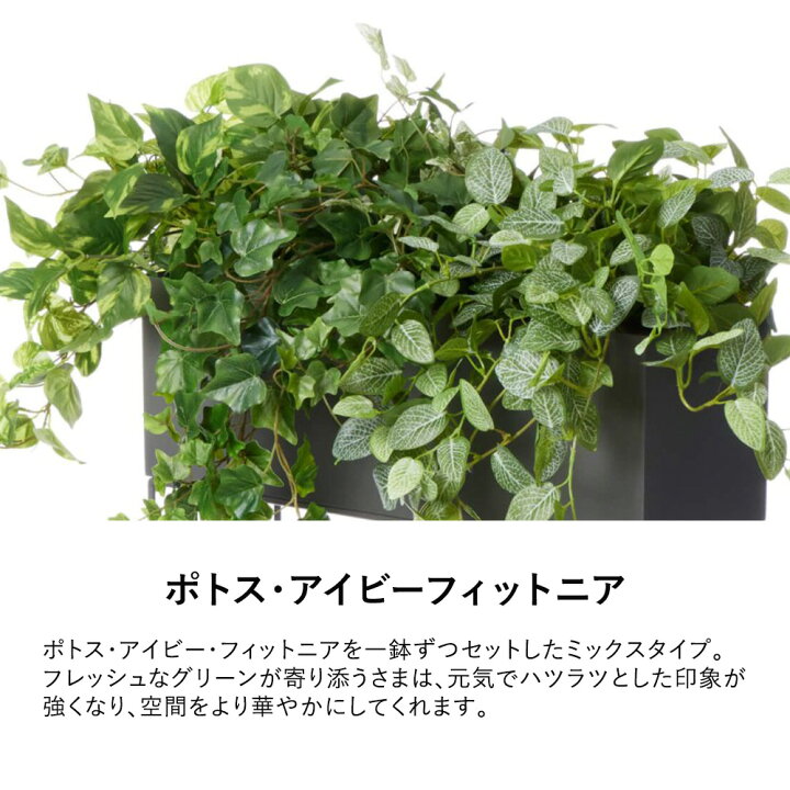 楽天市場】【P最大20倍◇4/30まで】パーテーション フェイクグリーン 
