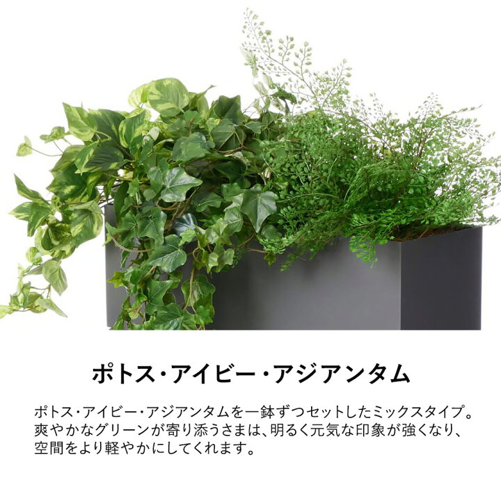 楽天市場】【P最大20倍◇4/30まで】パーテーション フェイクグリーン 