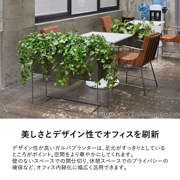 楽天市場】【P最大20倍◇4/30まで】パーテーション フェイクグリーン 