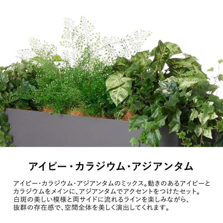 楽天市場】【P最大20倍◇4/30まで】パーテーション フェイクグリーン 