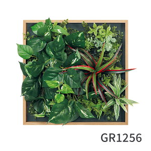 tFCNO[ }OlbgO[ ؖ BOX 35cmpi}Olbg  ϗtA Ǌ| EH[O[ tȒP ItBX  t GgX rO O[  z {b