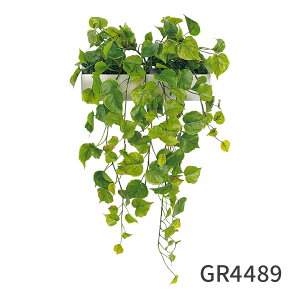 tFCNO[ }OlbgO[ |bg 30cmi}Olbg  ϗtA Ǌ| EH[O[ tȒP ItBX  t GgX rO O[   GR4489