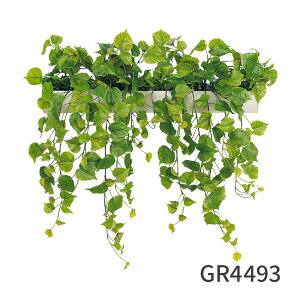 tFCNO[ }OlbgO[ |bg 60cmi}Olbg  ϗtA Ǌ| EH[O[ tȒP ItBX  t GgX rO O[   GR4493