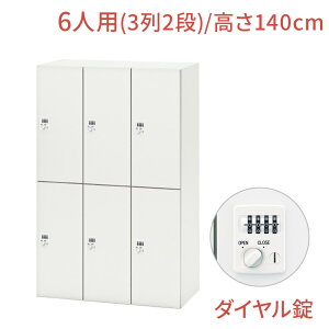 y11/1聟SiőP10{zNL bJ[ 6lp o[`J^Cv _C 90cm 140cmit 2i ItBX p[\ibJ[ Mdi WPbg  ItBX[  zCg  @